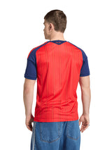 Spain 2026 Jersey - Home